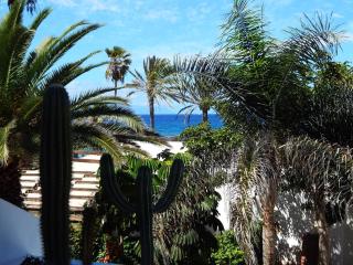 Beautiful Beachfront - Playa de las Americas - 9