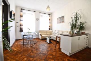 Spacious cozy apartments in centre - Praga - 0