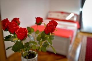 BĂLCESCU RESIDENCE - Hermannstadt - 0