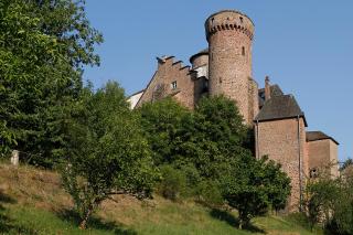 Landhaus Wald und See - Biersdorf am See - 8