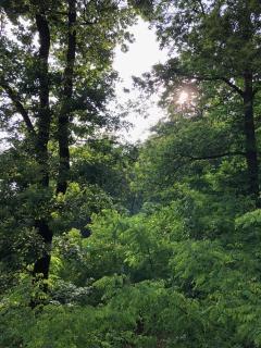 "La Romantica" Superior Chalet Rifugio Nel Bosco - 1