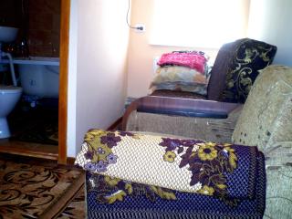 НЕБОЛЬШАЯ СТУДИЯ центр Николаева на Соборной-Макарова Макдональдс диван и кресло 2 этаж Wi-Fi - 1