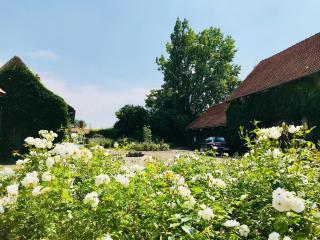 La Ferme des Roses - Tournai - 8
