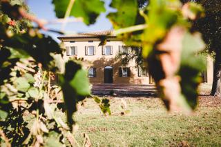 Agriturismo Vitae - Fabbrico - 0