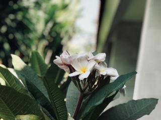 El Homestay Bali - Nusa Dua - 3