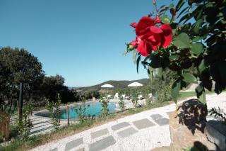 Podere Ripi - 8