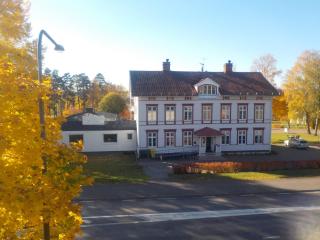 Varmland Hotel - Uddeholm - 4
