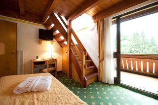 Centro Pineta Family Hotel & Wellness - Pinzolo - 7