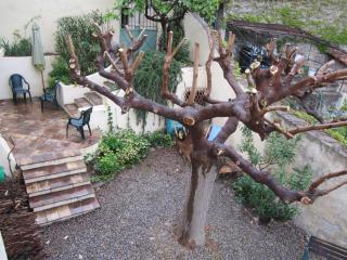 28 Rue de la Ferrage - Fayence - 7