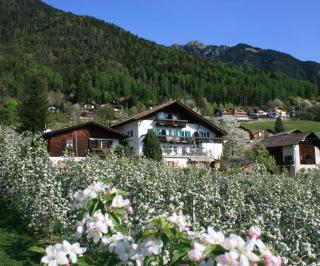 Residence Streitlhof - Tirol - 4
