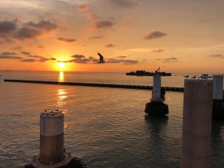 CDM 351 - Serendipity Sunrise - 7