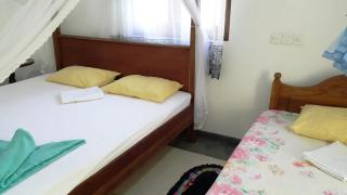 New Chili Lodge Mirissa - 1