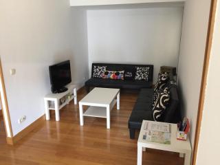 FELIPEIV,centrico,terraza,wifi,parking 20 euros night - San Sebastián - 0