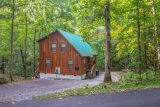 Friendly Bear Cabin - Pigeon Forge - 7