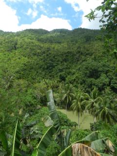 Nuts Huts - Loboc - 9