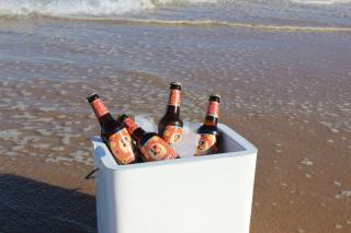 Planet Scuba Bed and Breakfast - Ponta do Ouro - 7