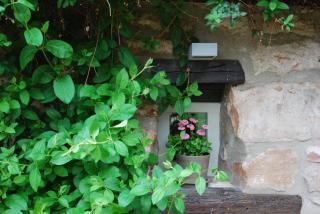 B&B Le Lodge - Bourgheim - 1