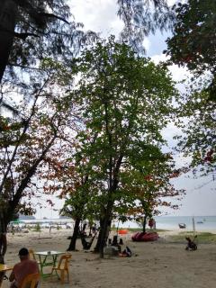 The Beach Residence by EHM - 4