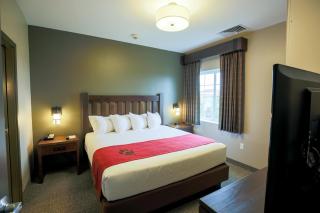 Great Wolf Lodge Chicago/Gurnee - Gurnee - 3