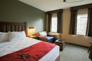 Great Wolf Lodge Chicago/Gurnee - Gurnee - 2