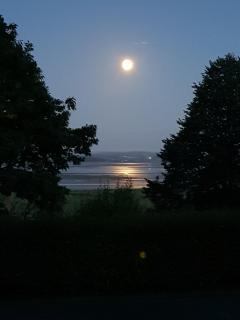 Lymestone Boutique Accommodation - 3