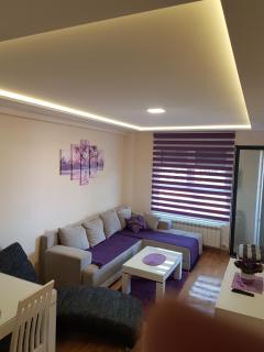 Apartment Kristal - Zlatibor - 4