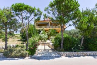 Villa Steffany Apartments - Kolan - 8