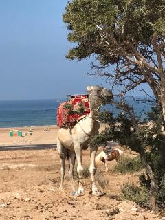 MAISON BLANCHE - Imi Ouaddar - 1