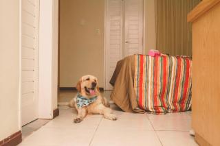 Hotel VillaOeste - 1