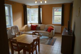 Klinovec Apartments - Loučná pod Klínovcem - 5