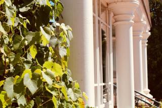 Bellevue Gastgeberei - 1