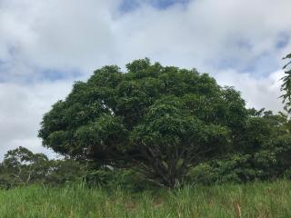 NuestraMadreTierra - 5