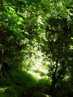 NuestraMadreTierra - 4