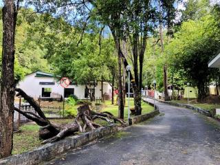 Eco Capsule Resort at Teluk Bahang, Penang - Batu Ferringhi - 1