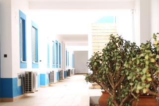 Oasis Beach Apartments - Luz - 1