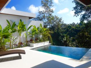 Cahaya Indah Villas - Ubud - 7