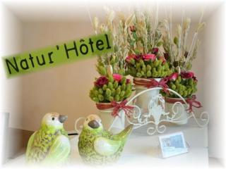 Natur'Hôtel - Ménesplet - 3