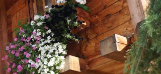 Mohrs Herzl Chalet - Werder - 7