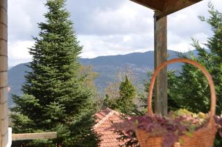 Υάς Residence - Kato Trikala Korinthias - 9