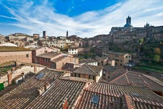 Hotel Alma Domus - Siena - 8
