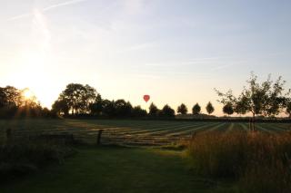 Gastenverblijf Eenink - Zelhem - 3
