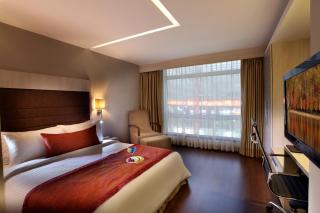 Mahagun Sarovar Portico Suites - 3