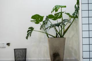 Chengdu Wuhou·Wuhou Temple· Locals Apartment 00169880 - 9