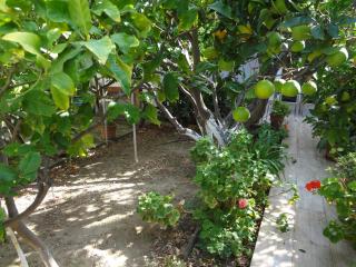 Cozy Citrus Garden House by the Seaside. - Khónai - 4