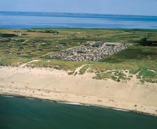 Dancamps Nordsø Camping (Camp Site) - Hvide Sande - 9