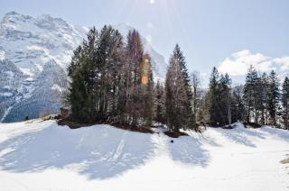 Apartment Grindelwaldgletscher - GRIWA RENT AG - Grindelwald - 4