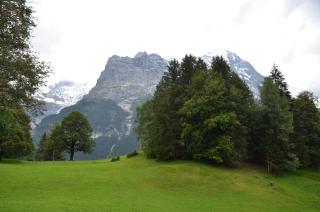 Apartment Grindelwaldgletscher - GRIWA RENT AG - Grindelwald - 5
