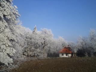 Fecskefészek Vendégház Őriszentpéter - 8