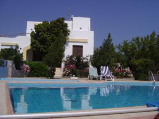 Villa in Lefkogia with Private pool - Lefkogeia - 7