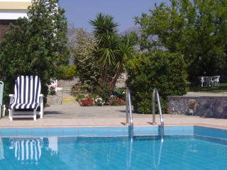 Villa in Lefkogia with Private pool - Lefkogeia - 3